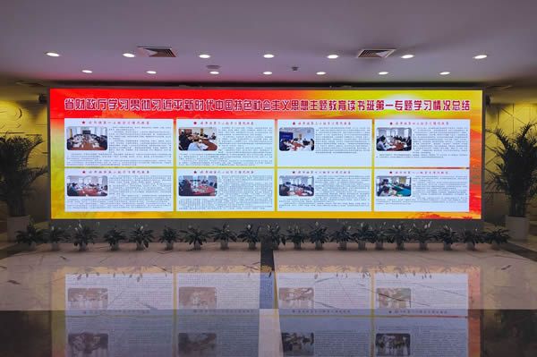 國(guó)內(nèi)有哪些COB顯示屏廠家做得比較好的？